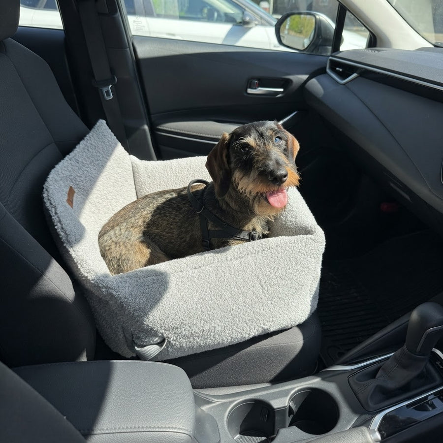 asiento de coche para perros de raza teckel - teckelshop