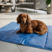 Thumbnail for tapis rafraichissant chien teckel