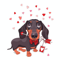 Thumbnail for Chaussettes Teckel pour Femme