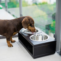 Thumbnail for Teckel boit dans gamelle