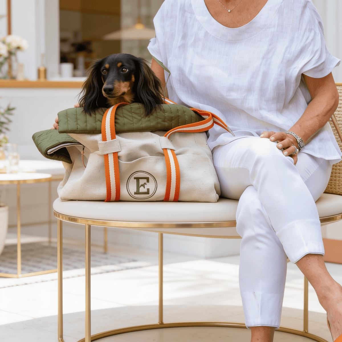 Reisetasche-Transport-Dackel
