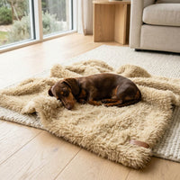 Thumbnail for teckel sur couverture fausse fourrure