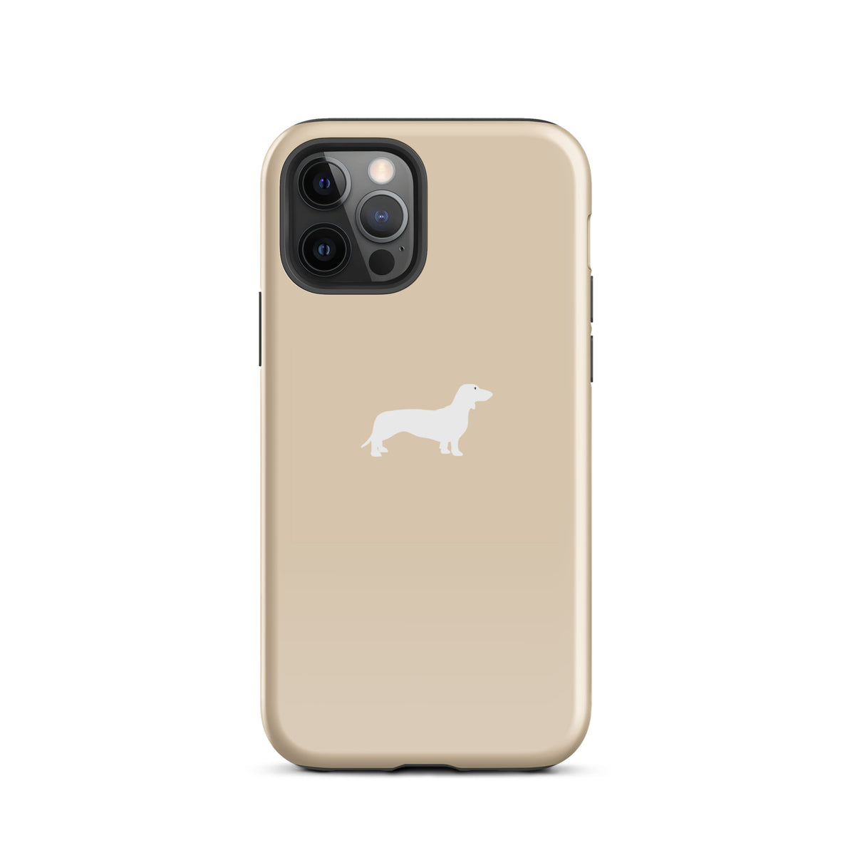 coque teckel champagne iphone elegante