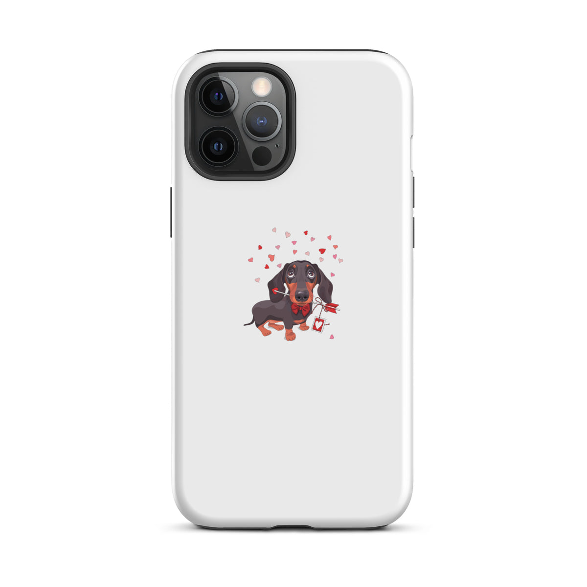 coque teckel avec coeurs iphone