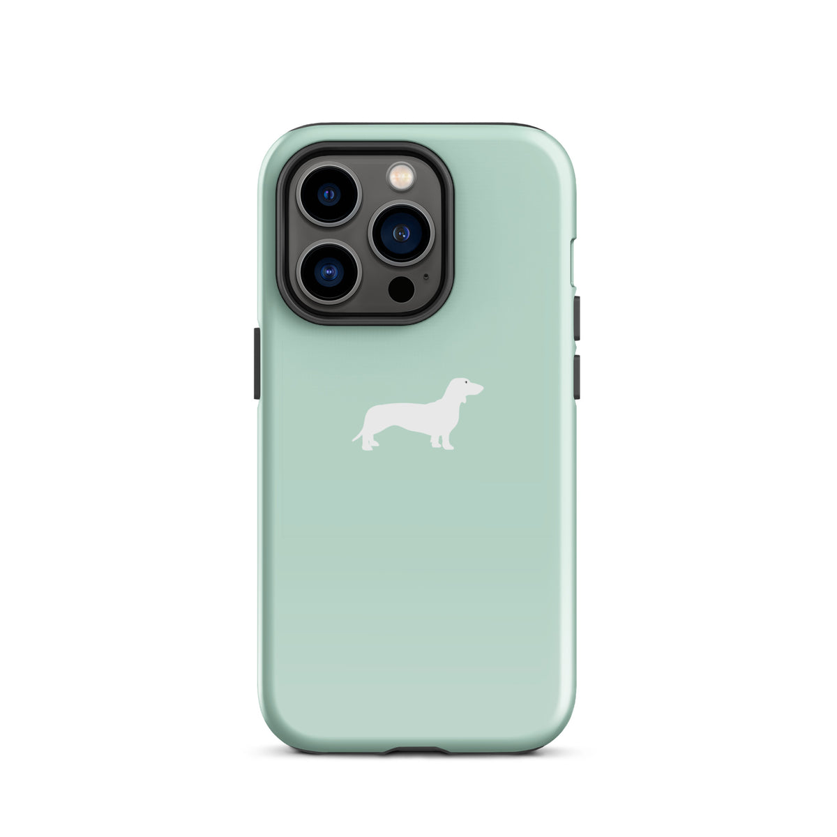 coque iphone teckel menthe design