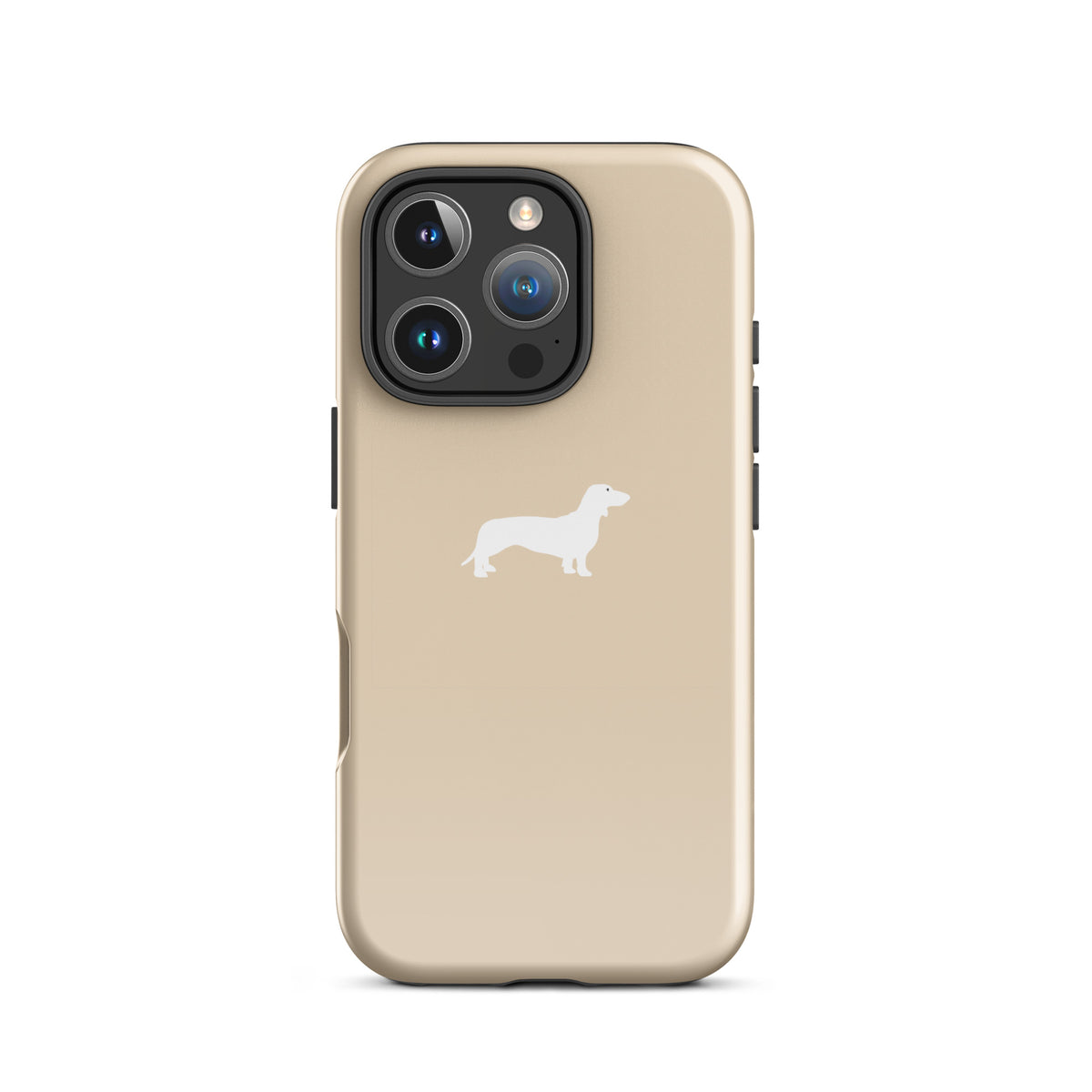 coque iphone teckel champagne elegant