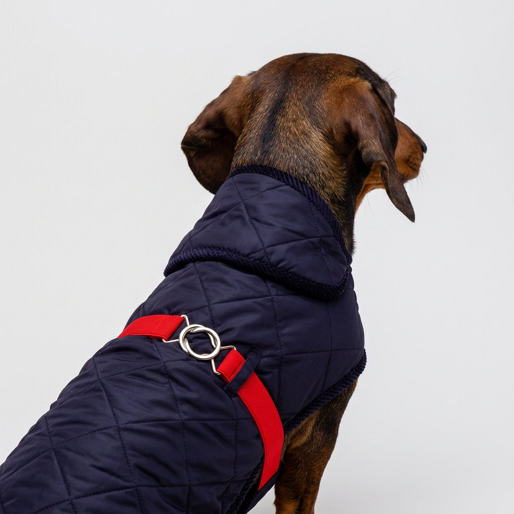 Vêtement Teckel <br> Quilt Veste Verte (sur mesure)