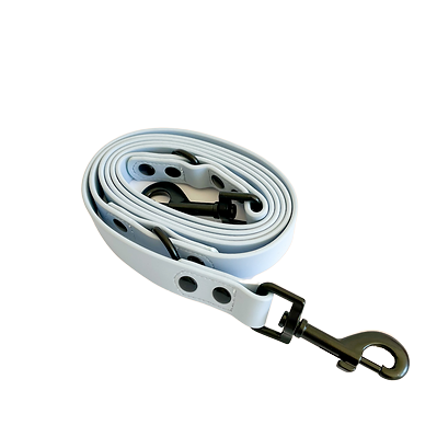 Laisse Teckel Bleu Layette