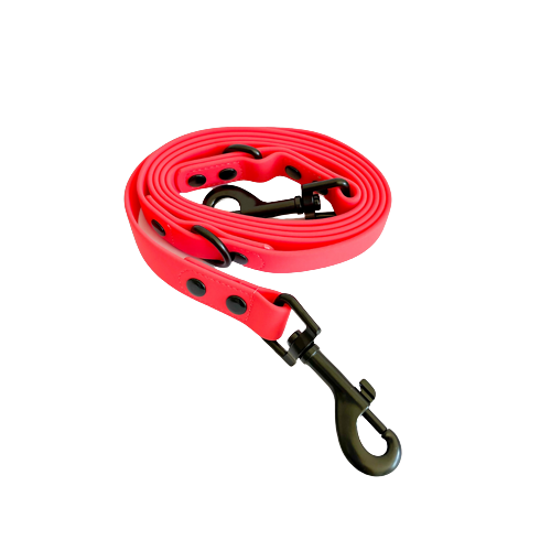 Laisse Teckel Waterproof