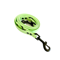 Thumbnail for Laisse Teckel Vert