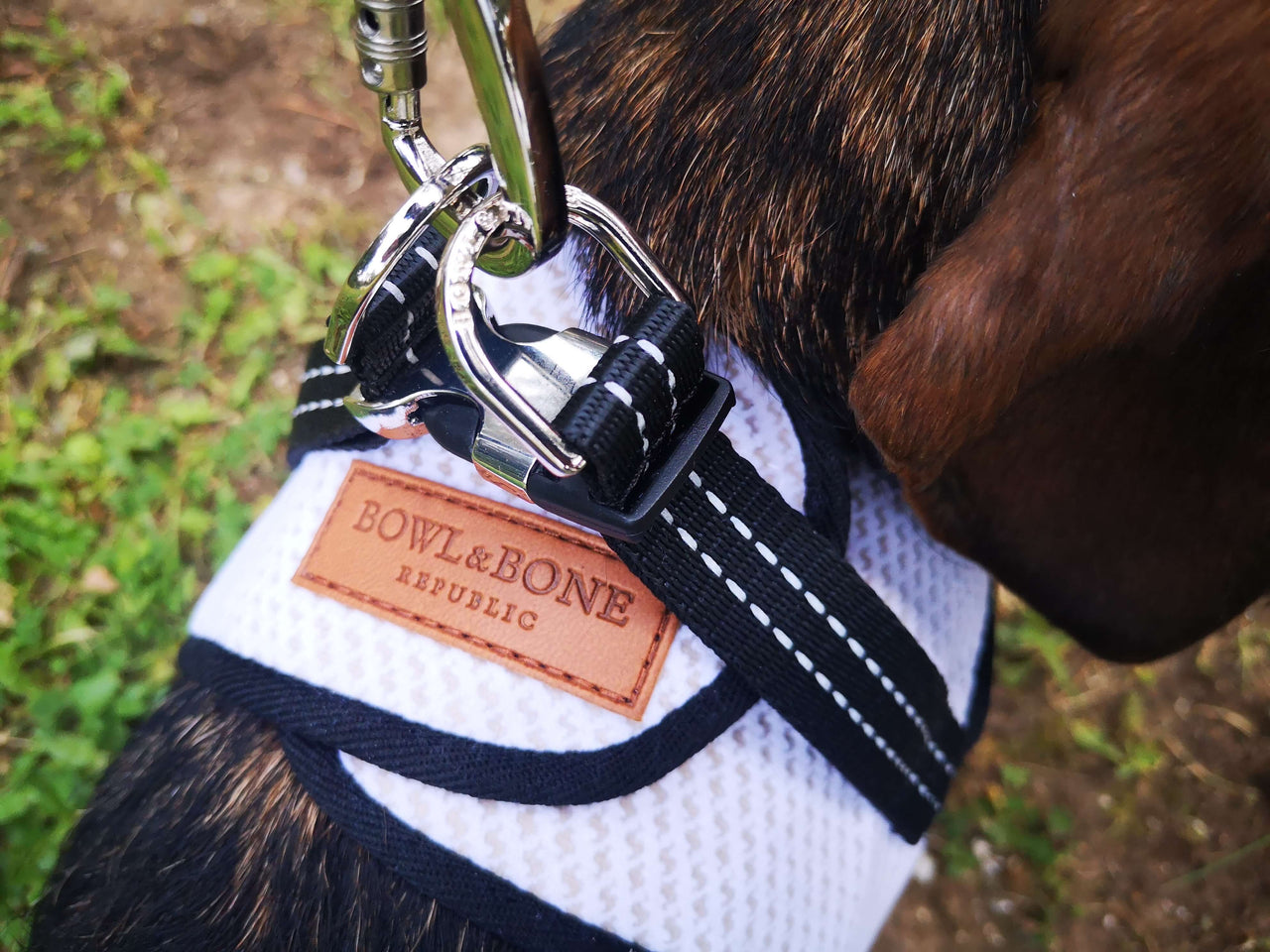 Attache Harnais Soho Teckel 