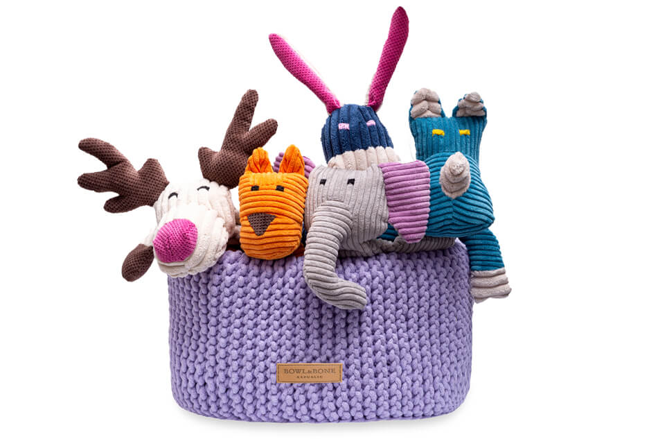 Panier de Rangement pour Chien 