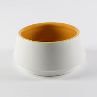 Thumbnail for Bol à Eau pour Chien Teckel Jaune