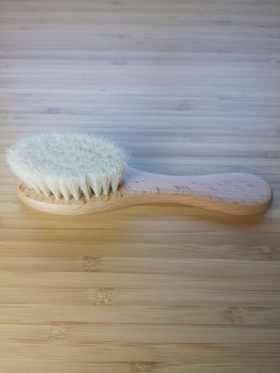 Naturhaar-Bürste für Dackel