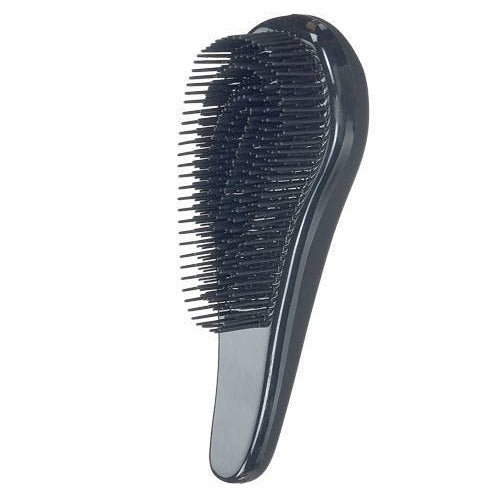 Brosse Teckel Poil Long