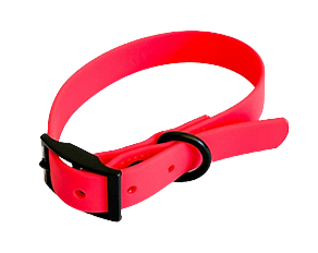 Collier Teckel Waterproof