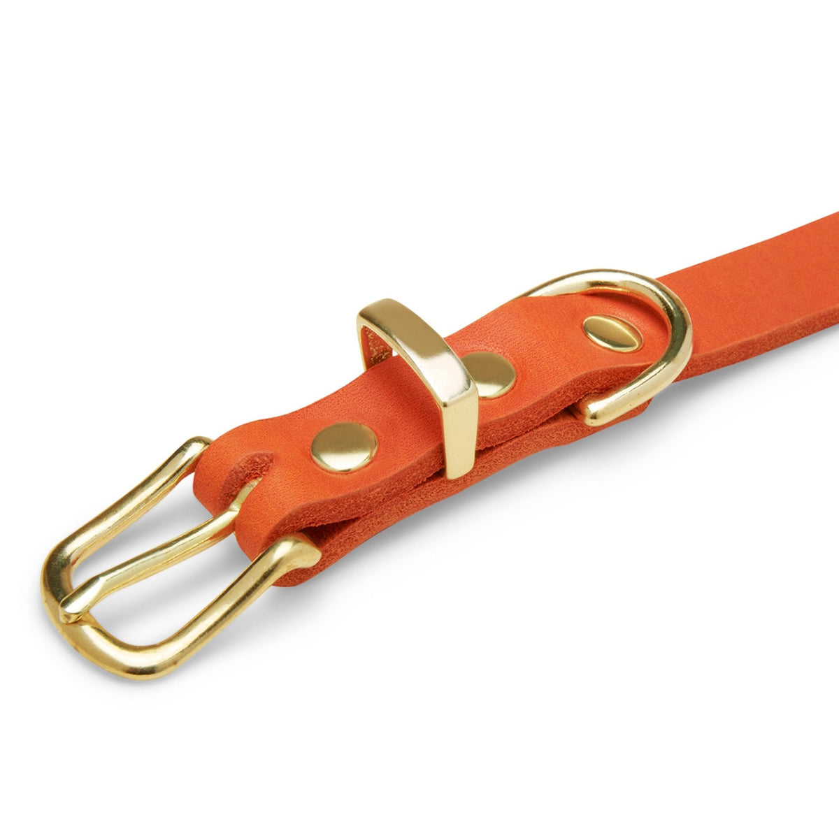 Hochwertiges Lederhalsband für Hunde