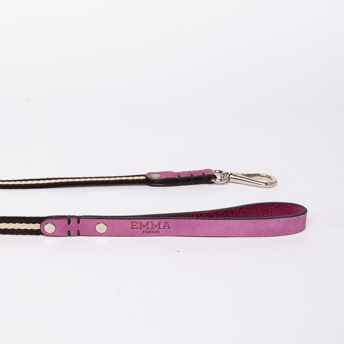 Laisse de Luxe pour Chien