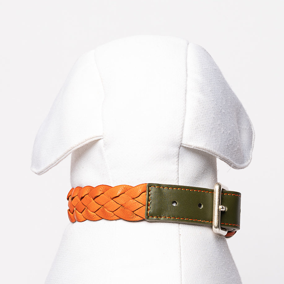 Collier Cuir Tresse Chien
