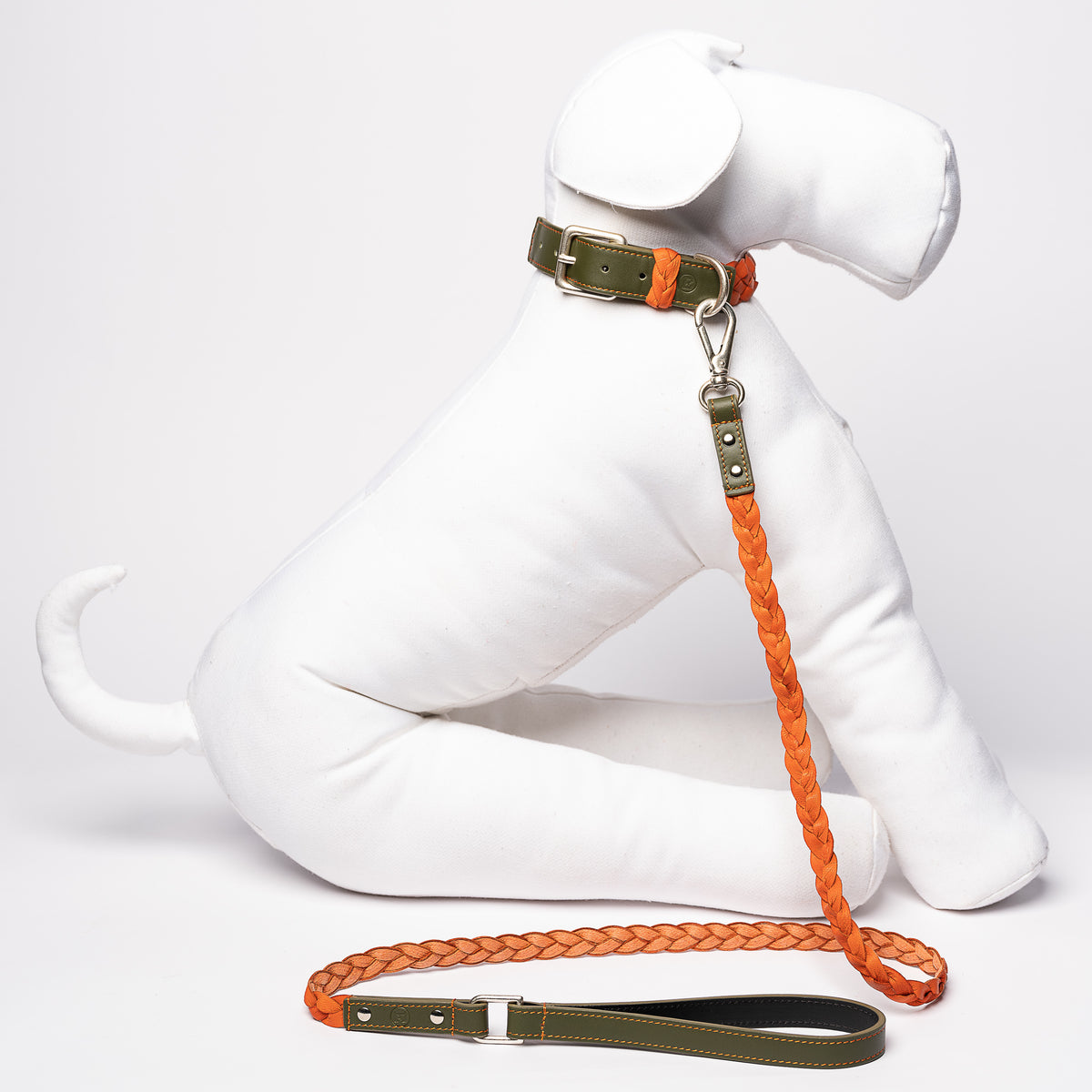 Collier et Laisse pour Chien de Luxe
