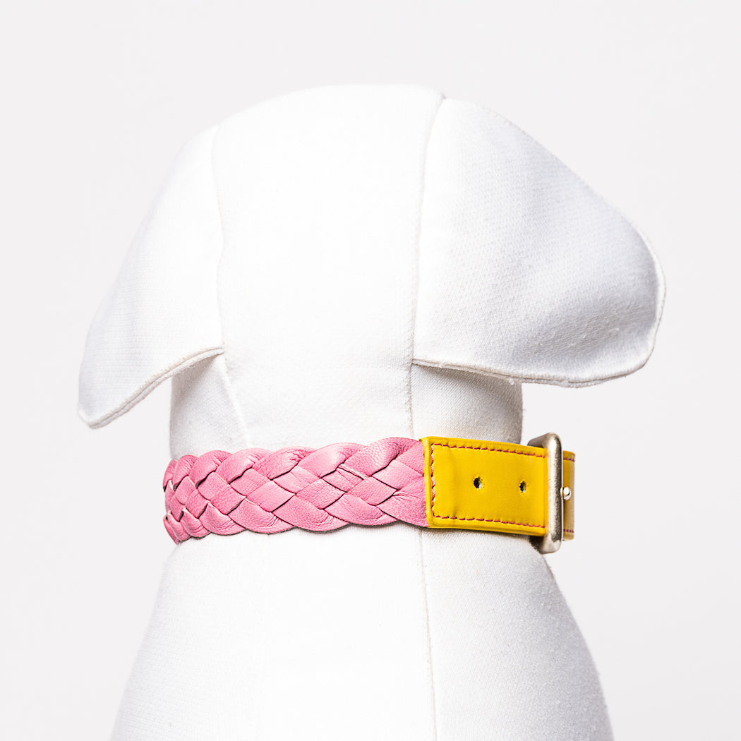 Collier Chien Cuir Tressé Luxe 