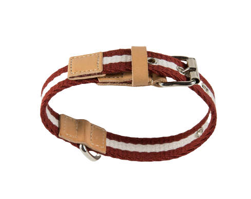 Collier pour Chien Tissu 