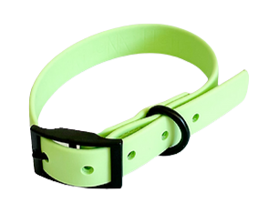 Collier Teckel Vert