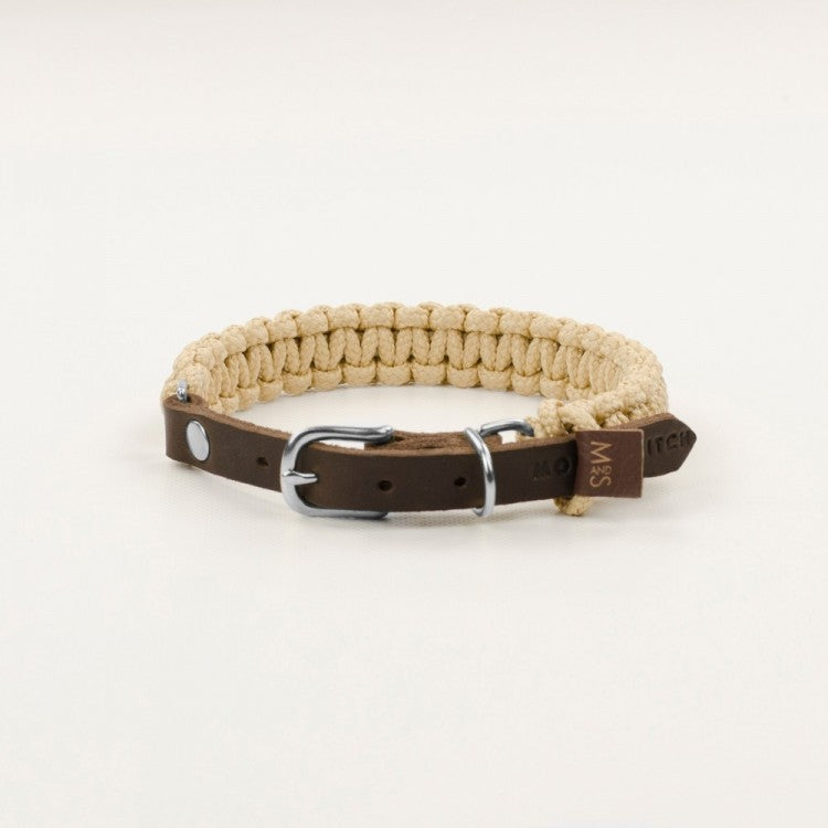 Schickes Hundehalsband