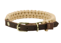 Thumbnail for Collier Chic Pour Petit Chien