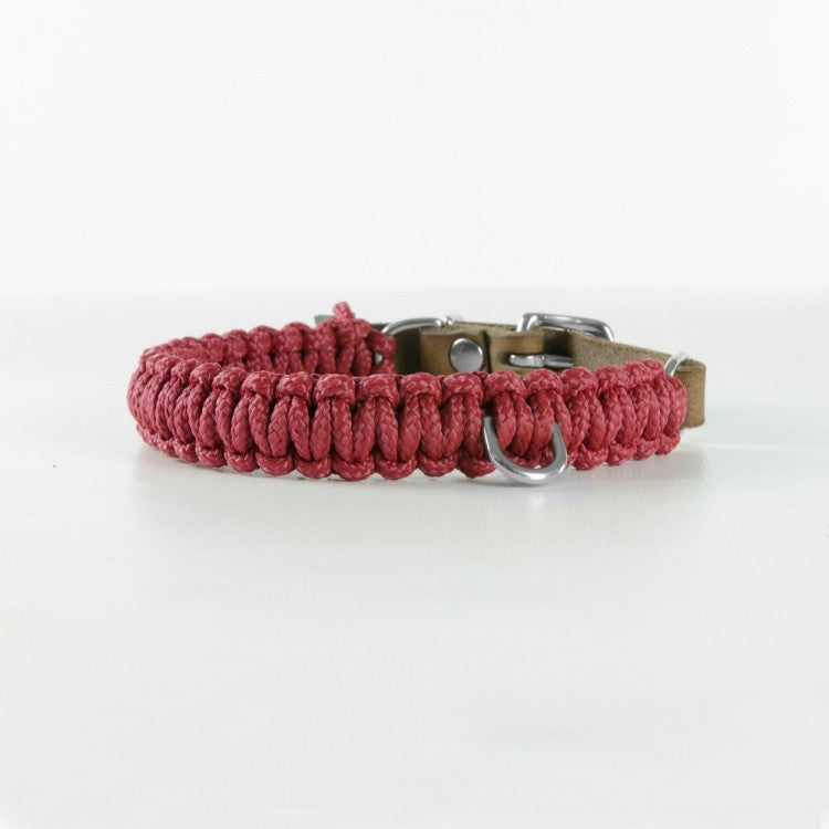 Silbernes Dackel-Halsband