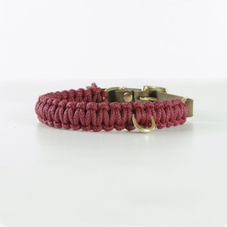Robustes Dackelhalsband 