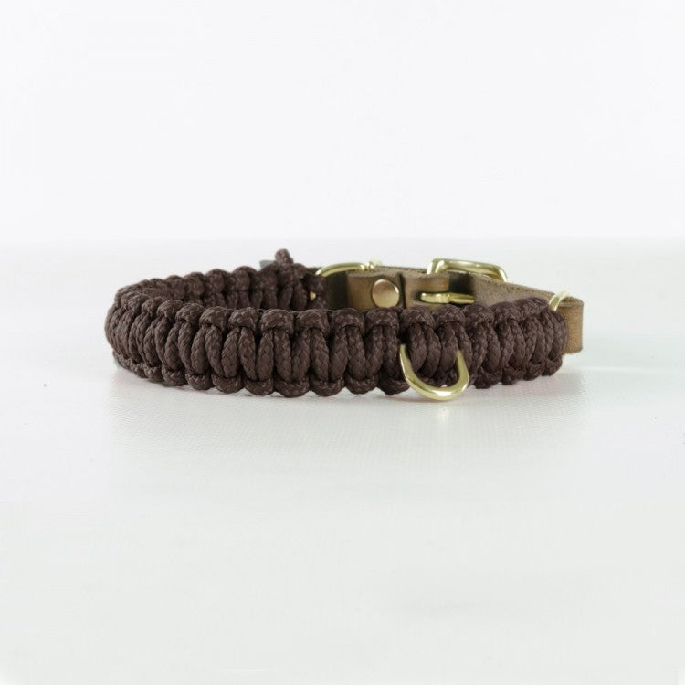 Collier pour Chien Dachshund