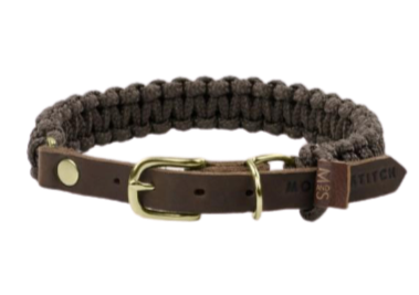 Halsband für Dackel 