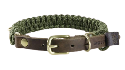 Solide Hundehalsband