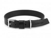 Thumbnail for Collier et Laisse Special Teckel