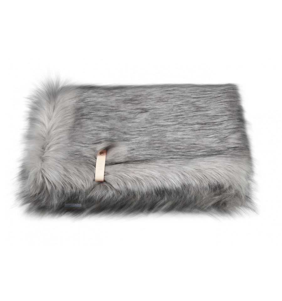 Couverture pour Chien Chaude