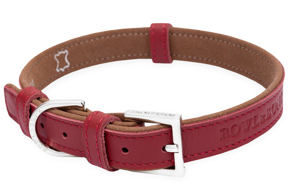 Collier Haut de Gamme Teckel