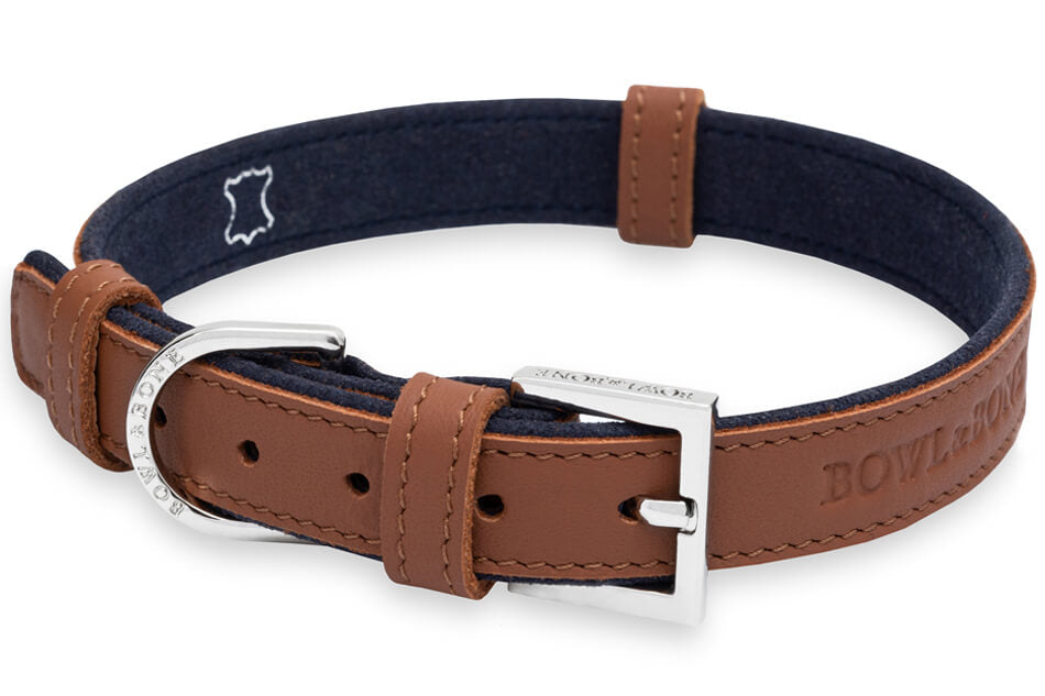 Collier Chien Cuir Haut de Gamme