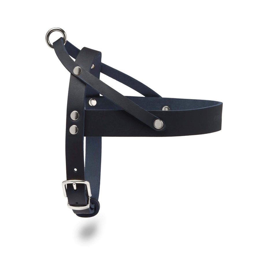 Harnais Luxe pour Chien