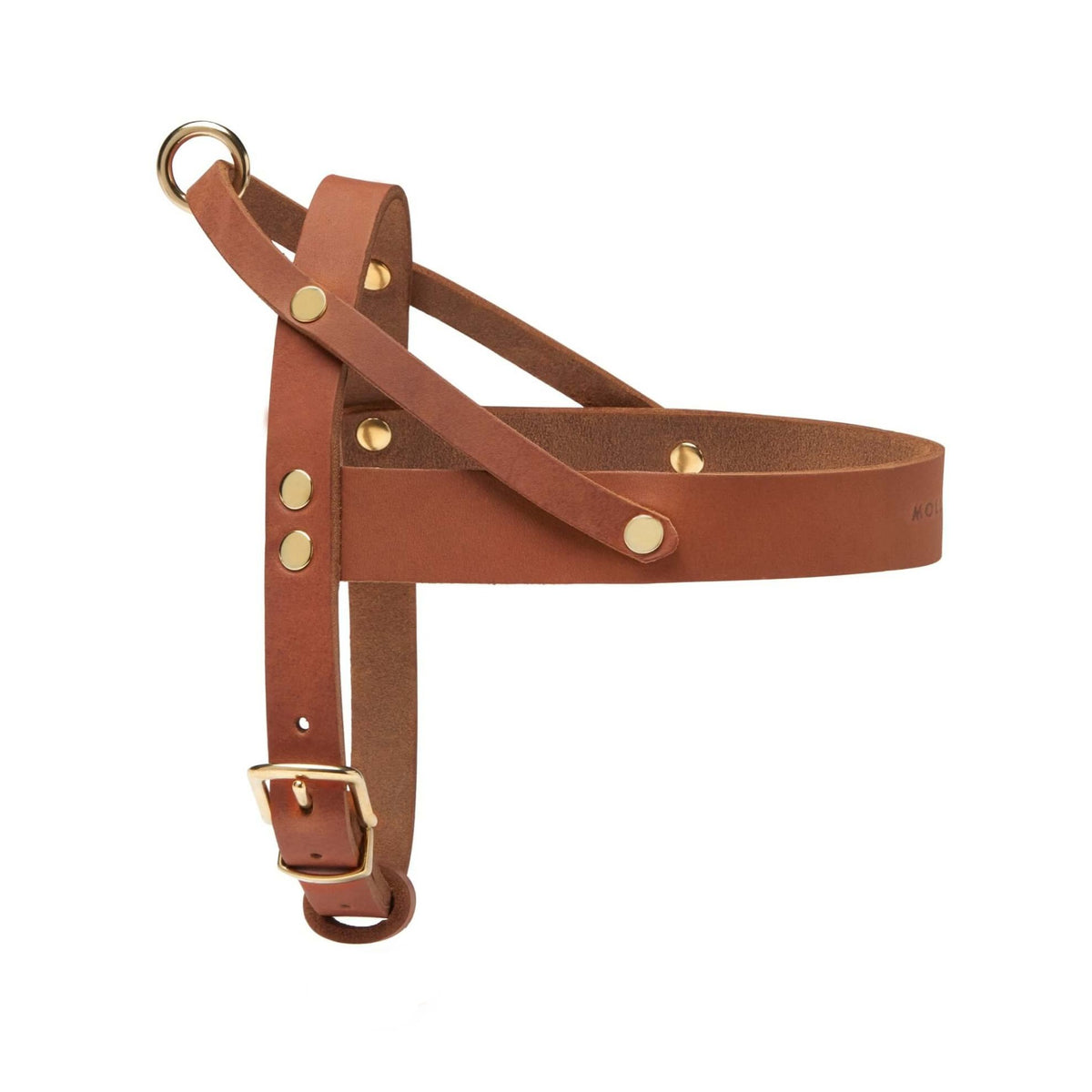 Leder-Hundegeschirr