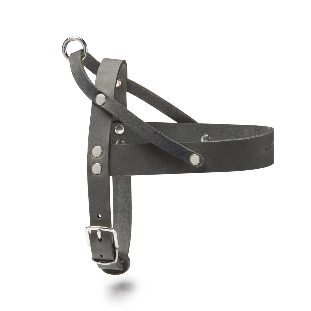 Harnais Cuir pour Chien Teckel