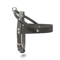 Thumbnail for Harnais Cuir pour Chien Teckel