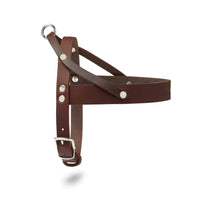 Thumbnail für Geschirr für kleine Hunde, braun