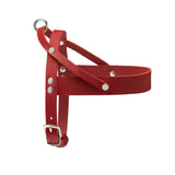 Harnais Chien Cuir Rouge Luxe