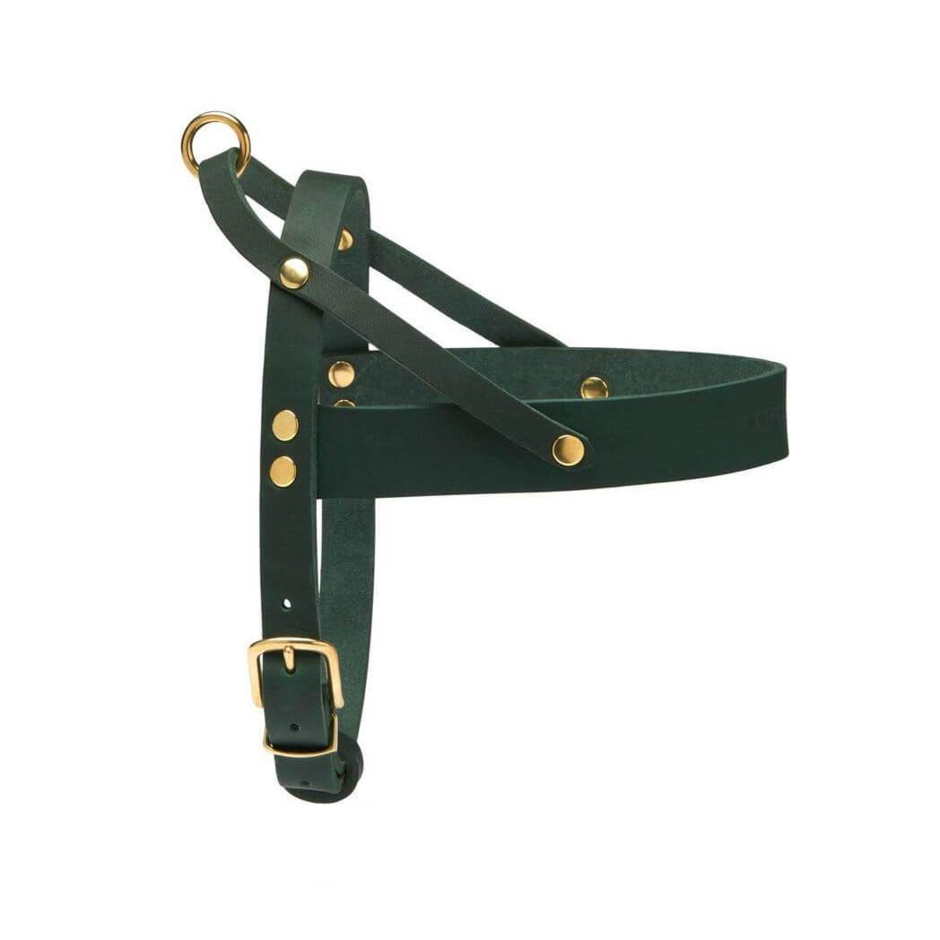 Ledergeschirr für Dackel