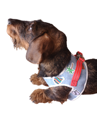 Thumbnail for Harnais Original Teckel