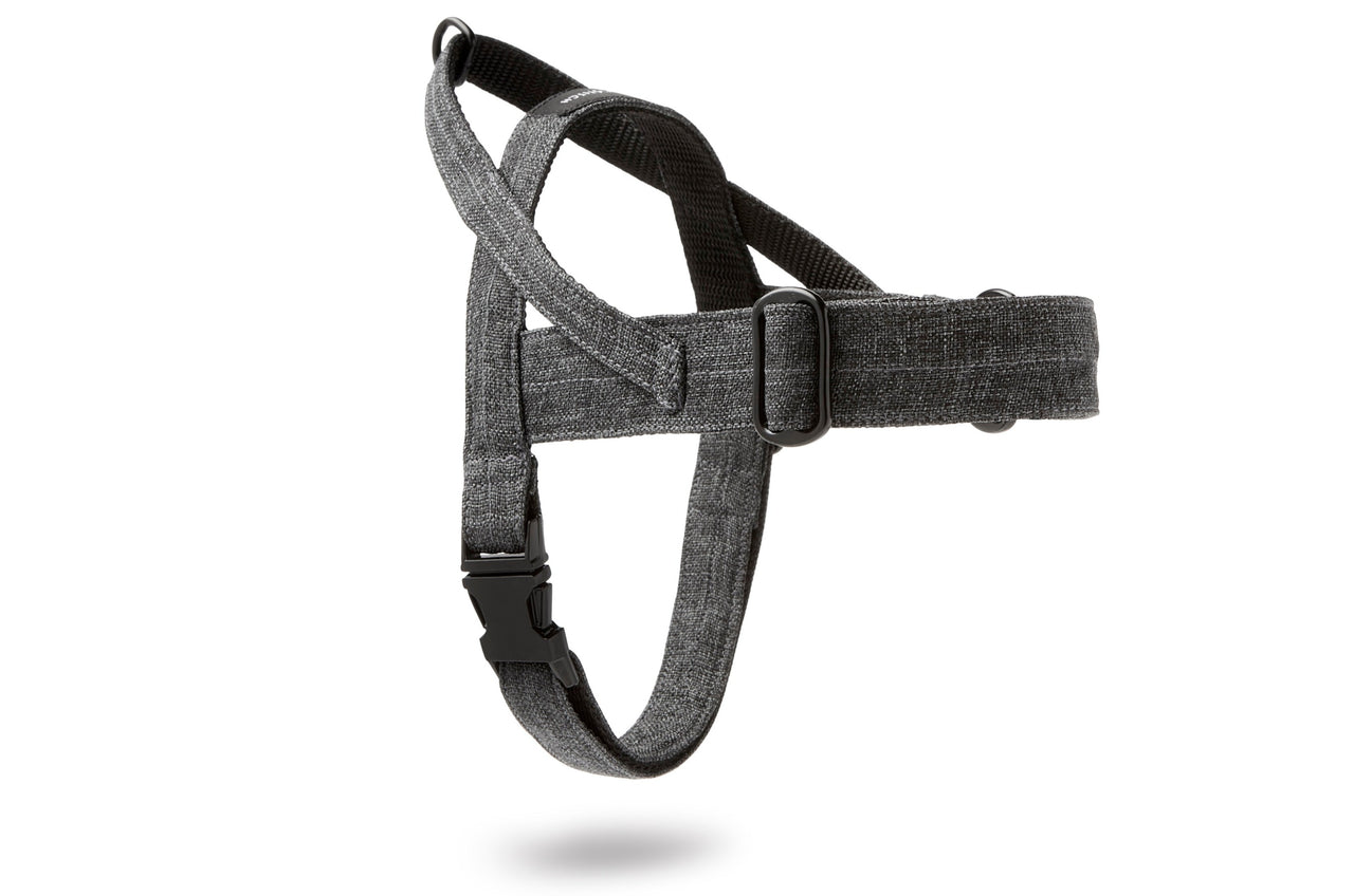 Harnais Ajustable pour Teckel 