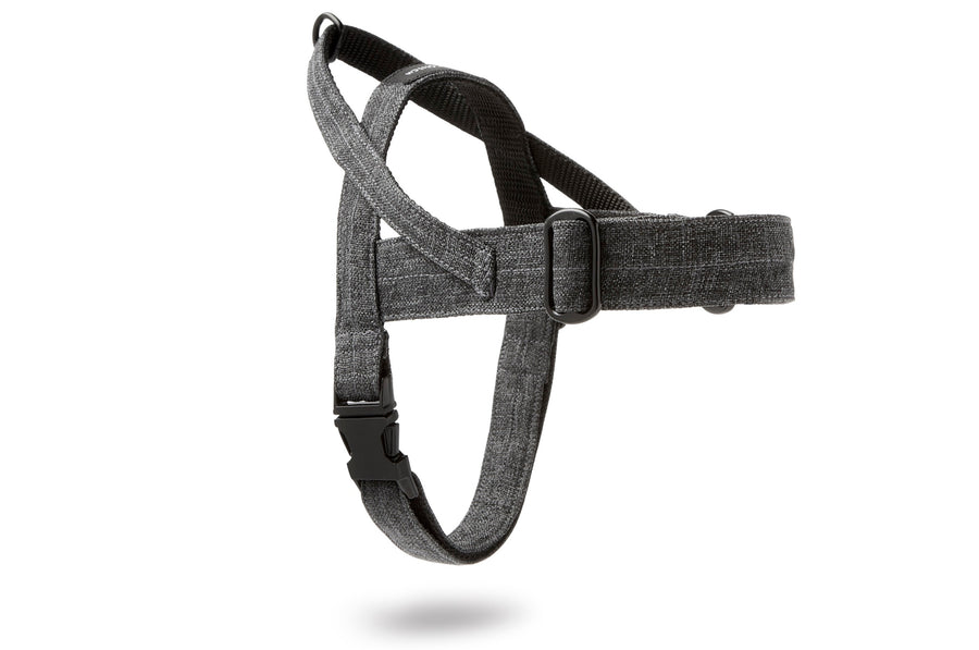 Harnais Ajustable pour Teckel 