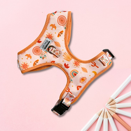 Harnais pour Chien Teckel