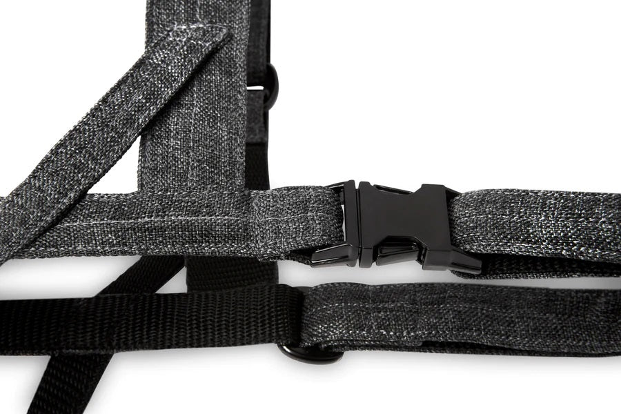 Harnais Leger en Tissu pour Teckel 